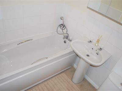 Picture 7